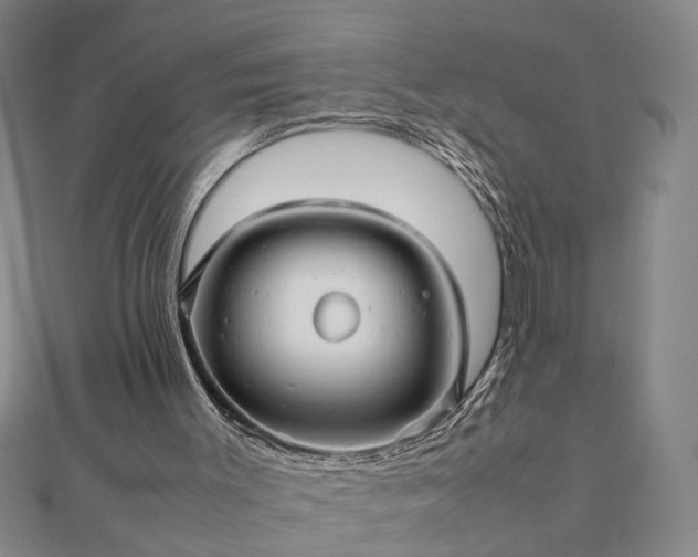 X0000111900003200908031126