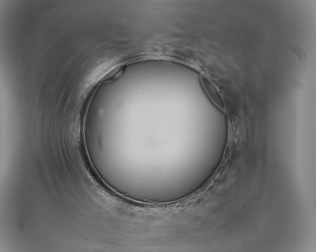 X0000111900005200908031126