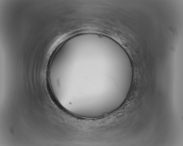 X0000111900007200908031126