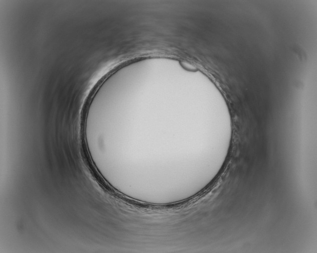 X0000111900008200908031126