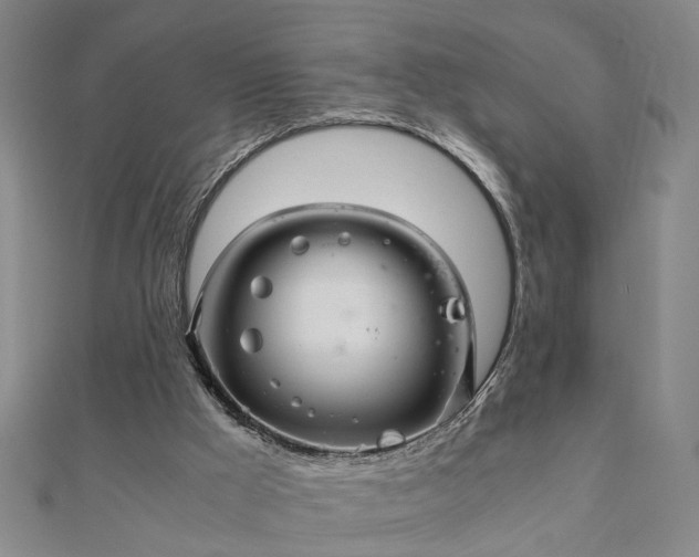 X0000111900009200908031126