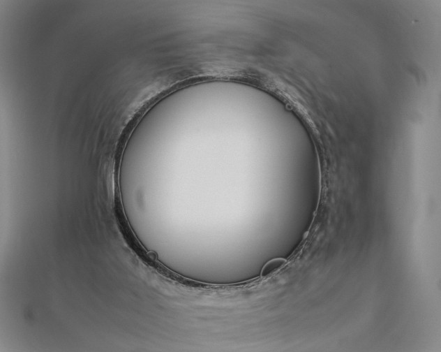 X0000111900011200908031126