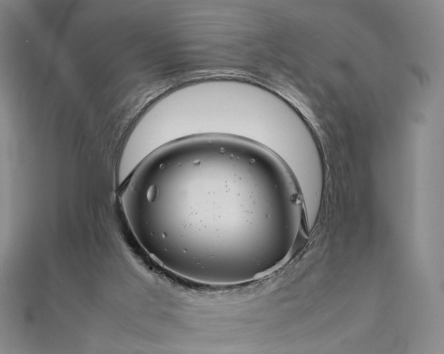 X0000111900013200908031126