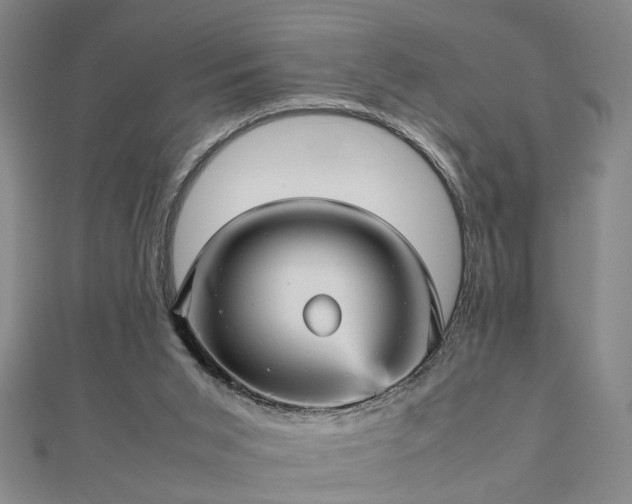 X0000111900015200908031126