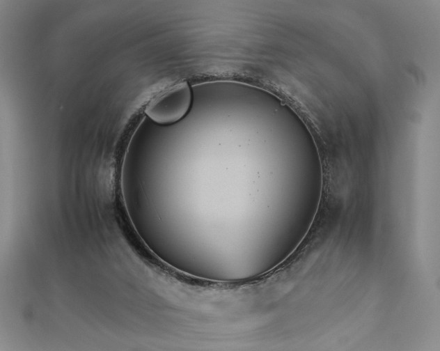 X0000111900016200908031126