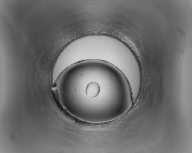 X0000111900017200908031126