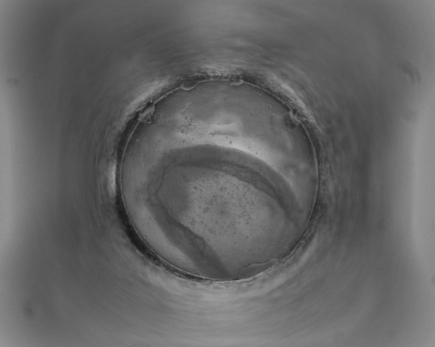 X0000111900019200908031126