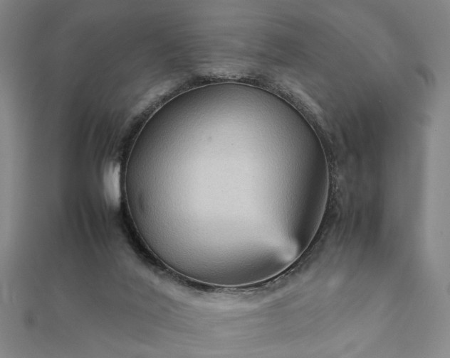 X0000111900020200908031126