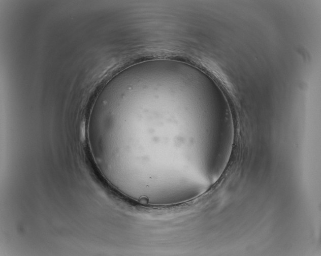 X0000111900021200908031126