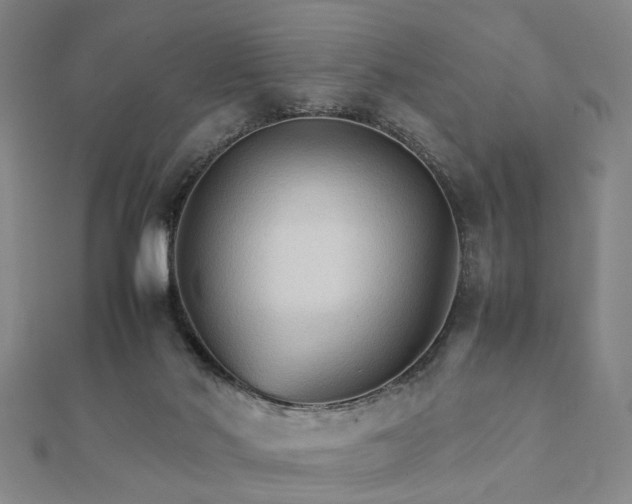 X0000111900022200908031126