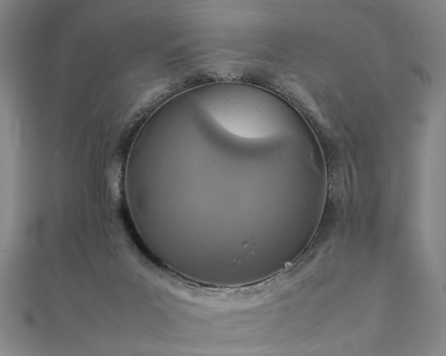 X0000111900023200908031126