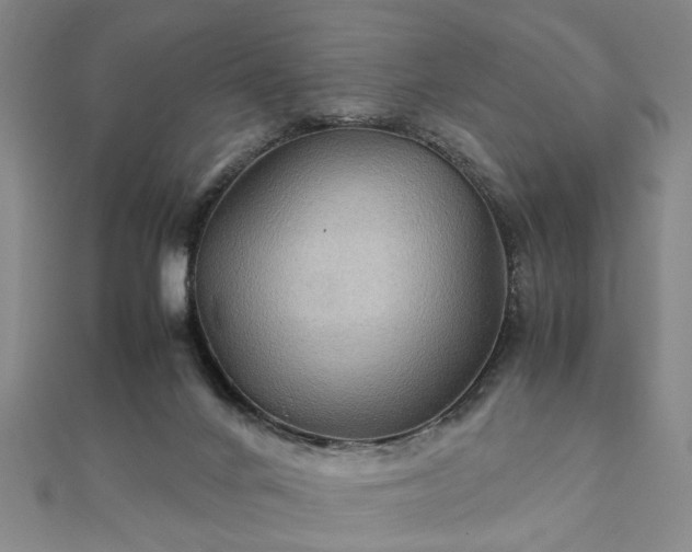 X0000111900024200908031126