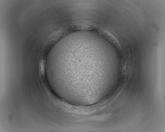 X0000111900026200908031126