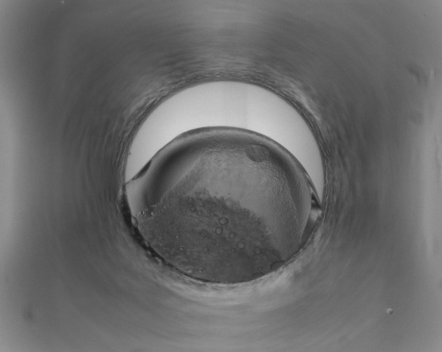 X0000111900027200908031126