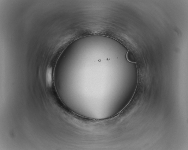 X0000111900028200908031126