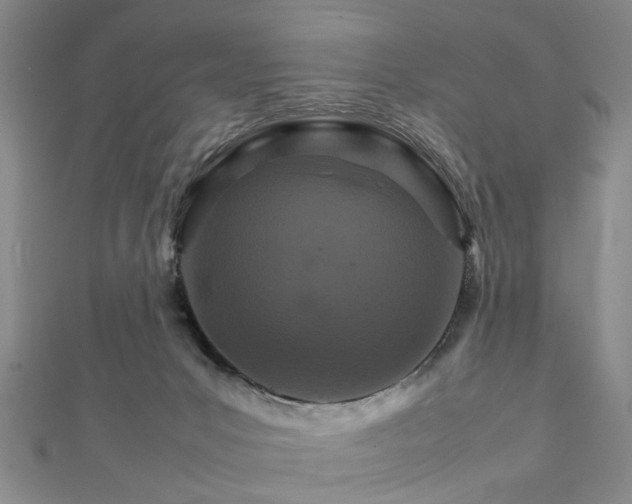 X0000111900031200908031126