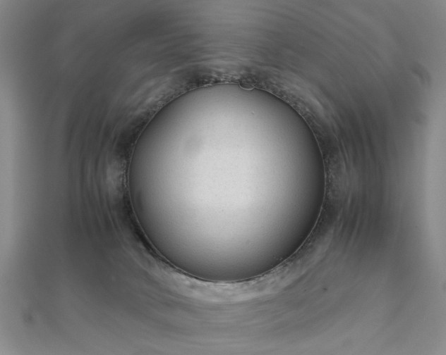 X0000111900034200908031126