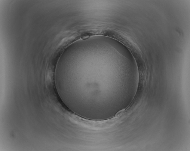 X0000111900035200908031126