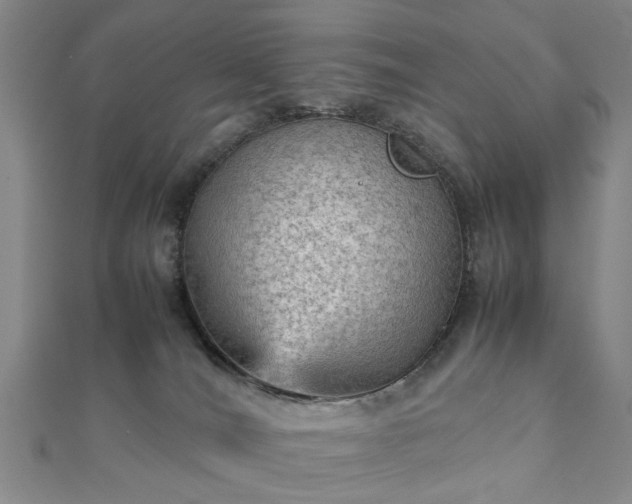 X0000111900036200908031126