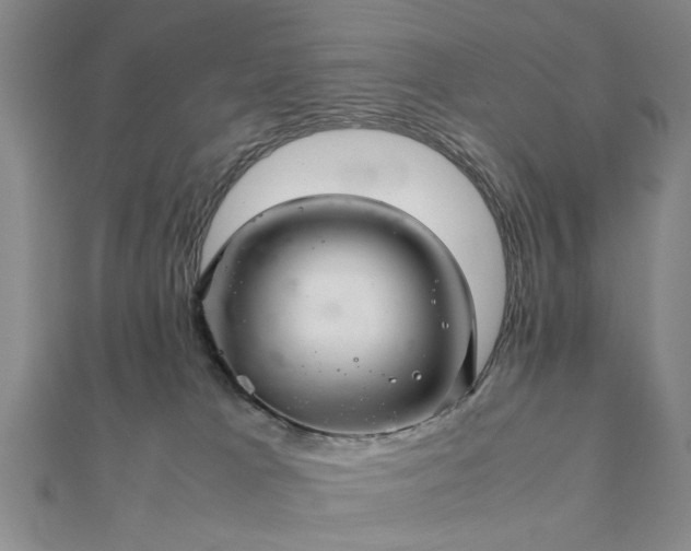 X0000111900037200908031126