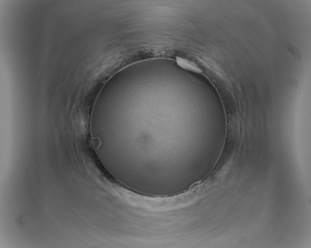 X0000111900039200908031126