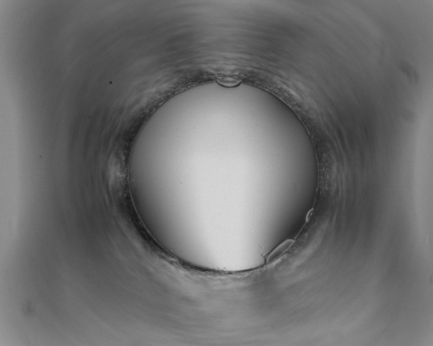 X0000111900040200908031126