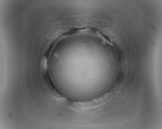 X0000111900041200908031126