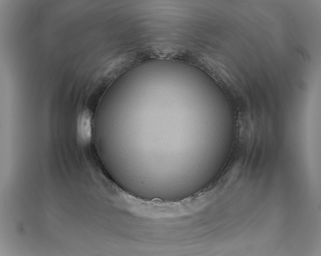 X0000111900042200908031126