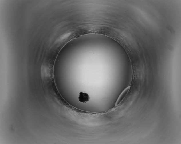 X0000111900044200908031126