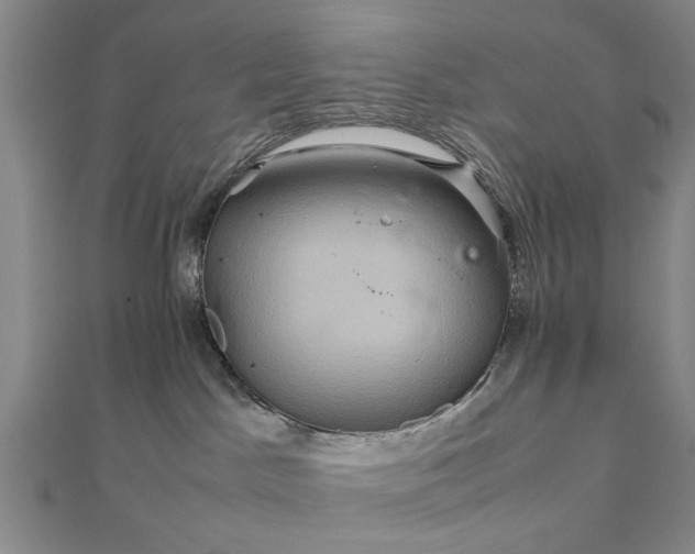 X0000111900045200908031126