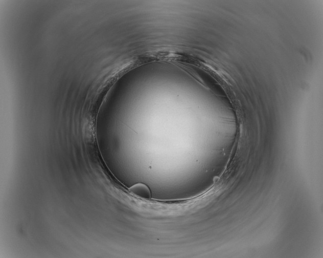 X0000111900048200908031126