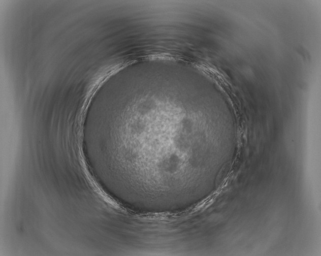 X0000111900049200908031125