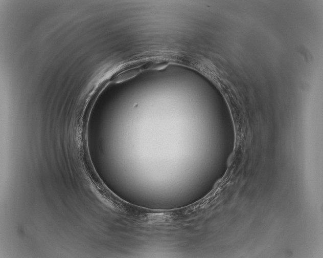 X0000111900050200908031125