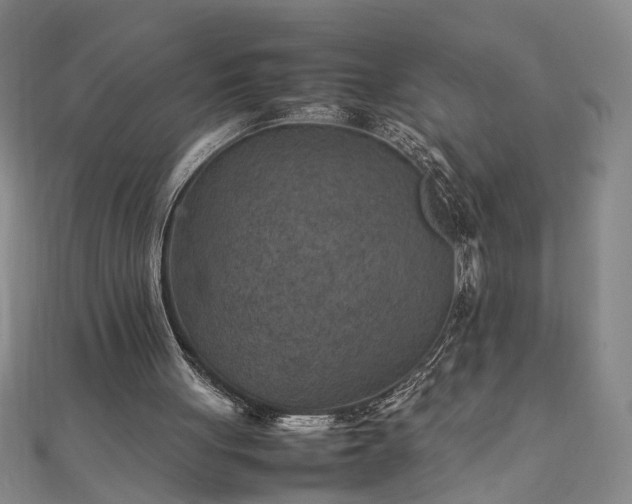 X0000111900051200908031125