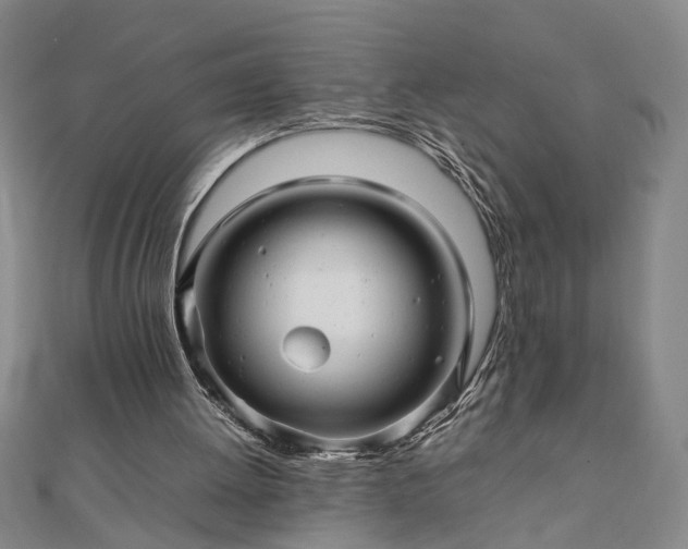 X0000111900052200908031125