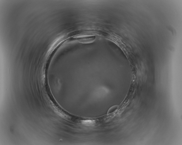 X0000111900053200908031125