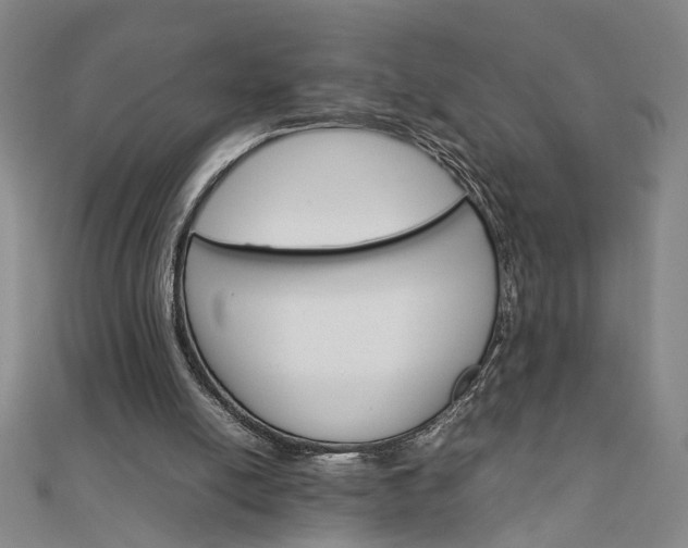 X0000111900054200908031125