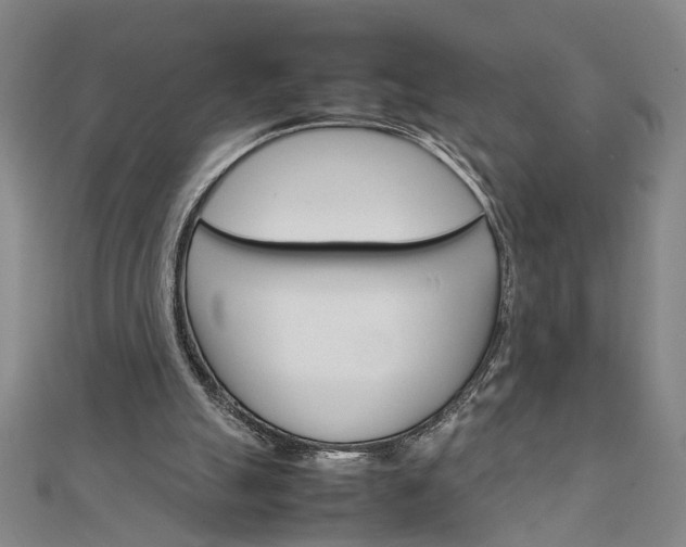 X0000111900055200908031125