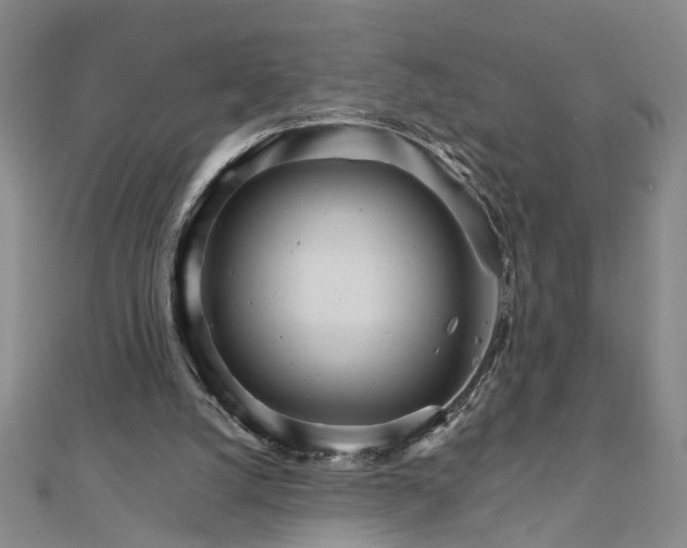 X0000111900056200908031125