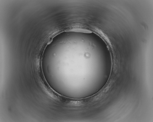 X0000111900057200908031125