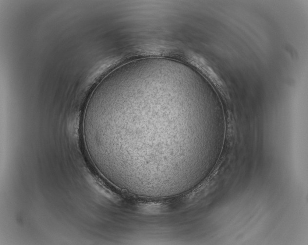 X0000111900058200908031125