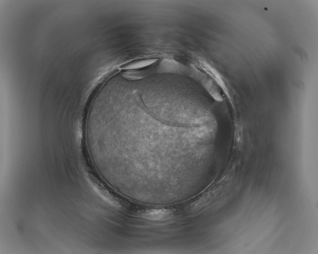 X0000111900059200908031125