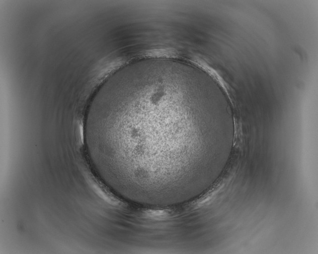 X0000111900061200908031125