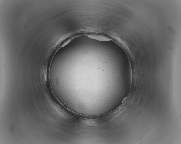 X0000111900062200908031125