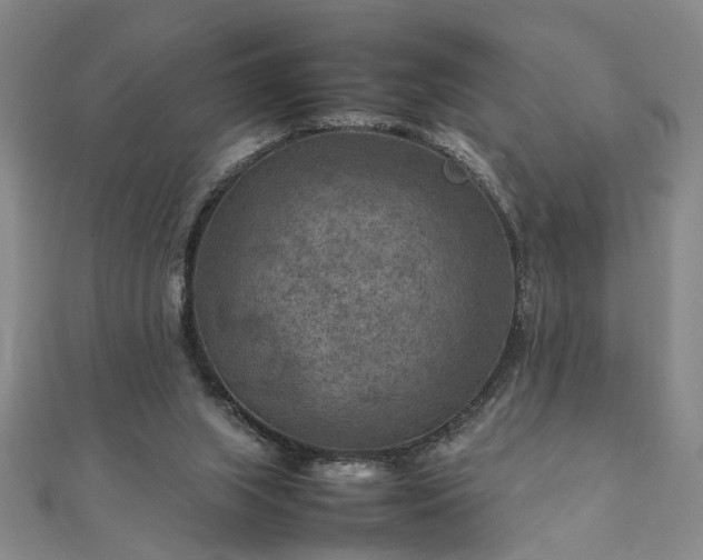 X0000111900063200908031125