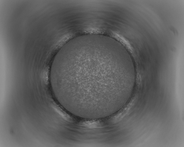 X0000111900065200908031125