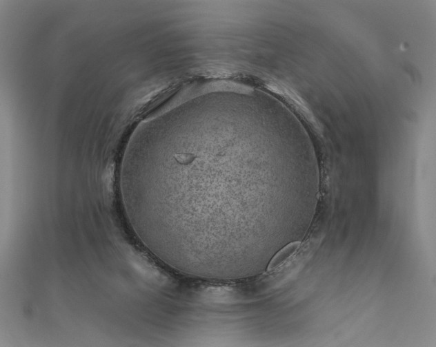 X0000111900066200908031126