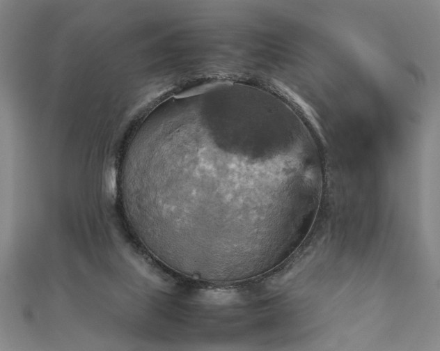 X0000111900067200908031126