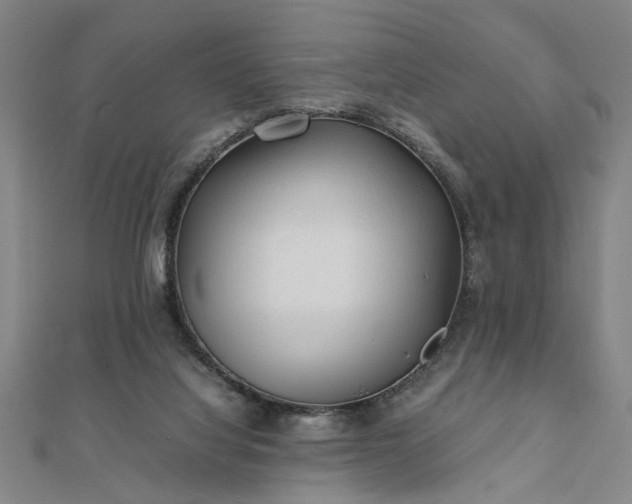 X0000111900068200908031126