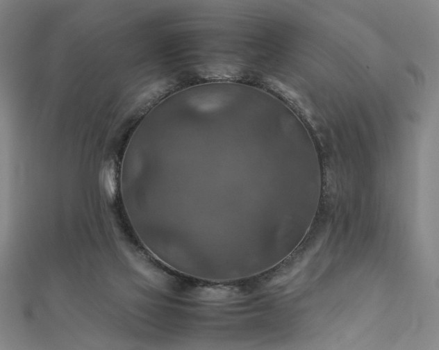 X0000111900069200908031126